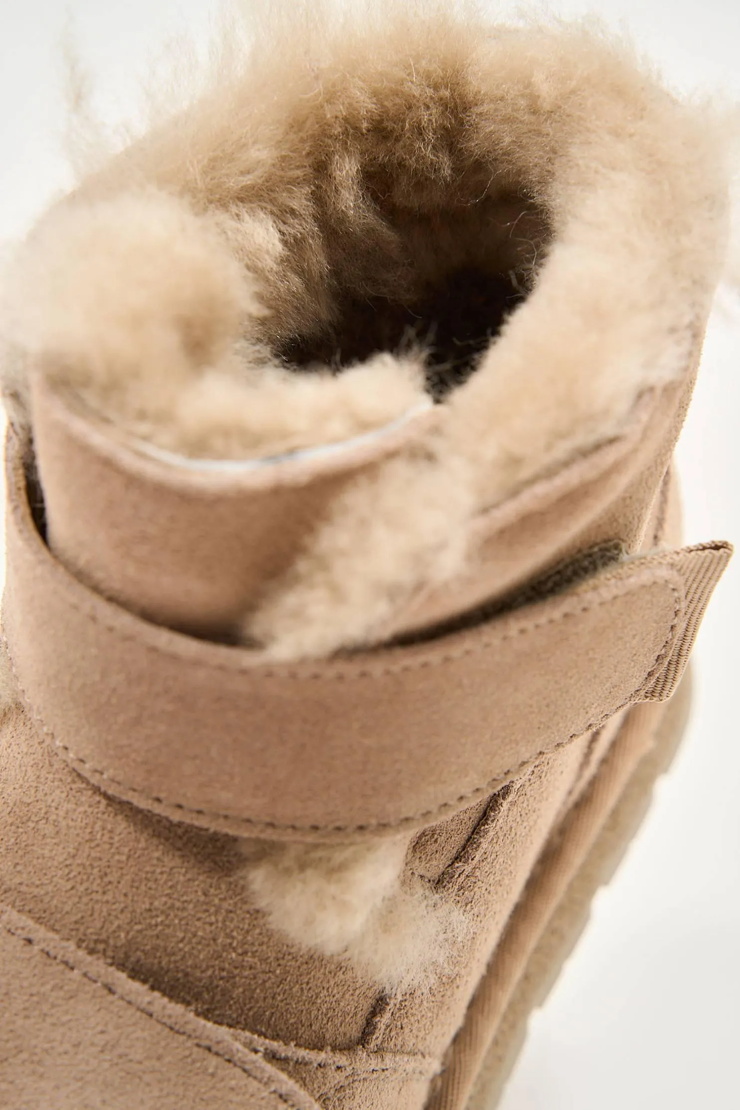 Tasman Beige